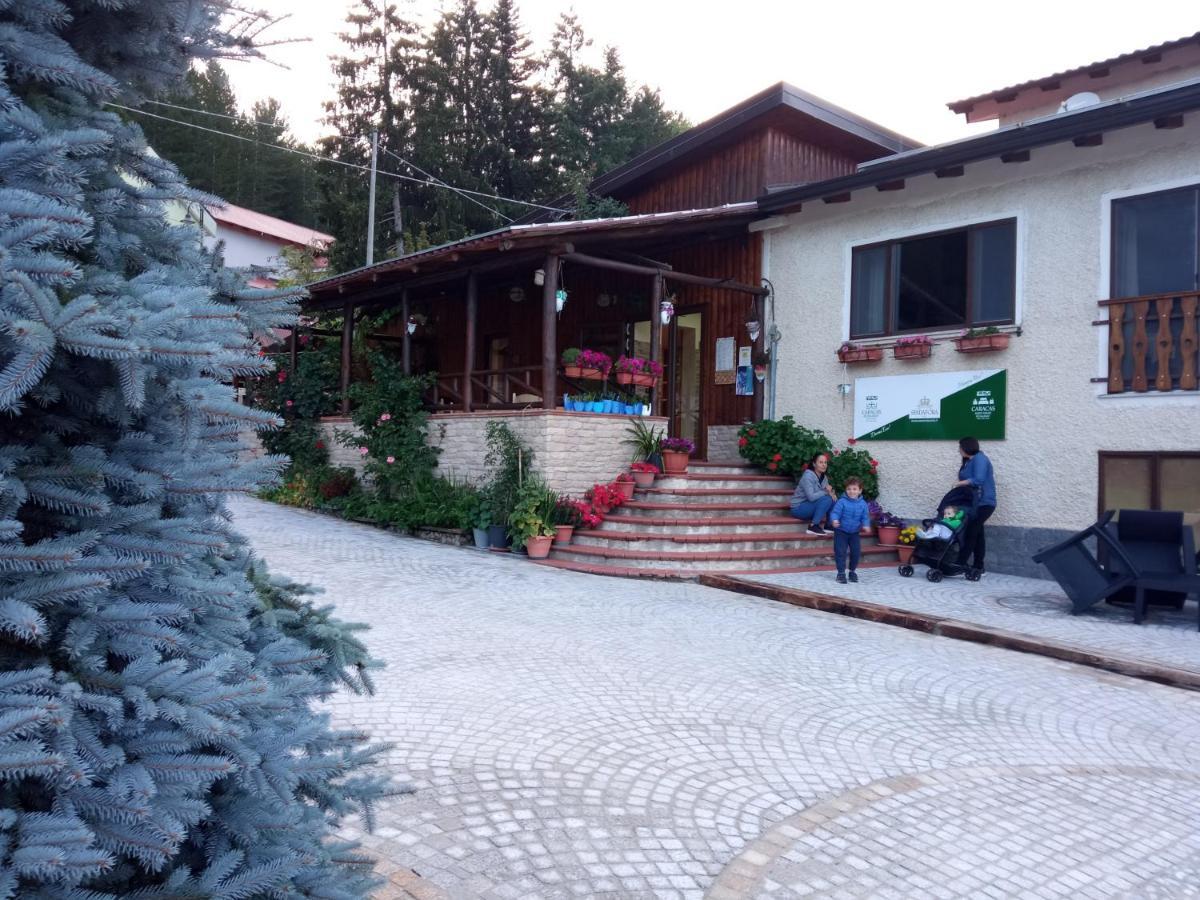 Guest House Caracas ロリカ エクステリア 写真