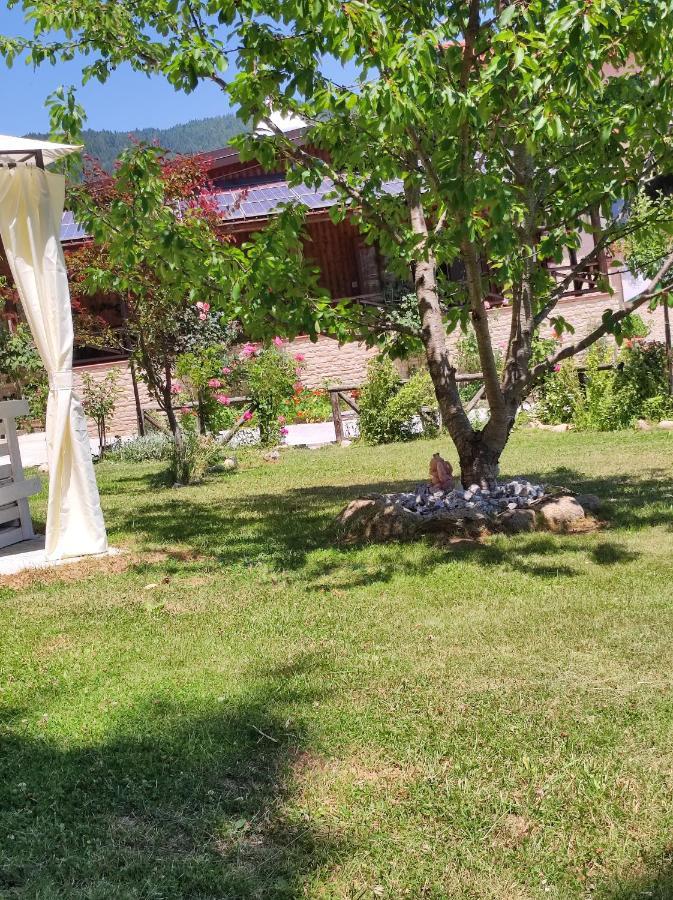 Guest House Caracas ロリカ エクステリア 写真