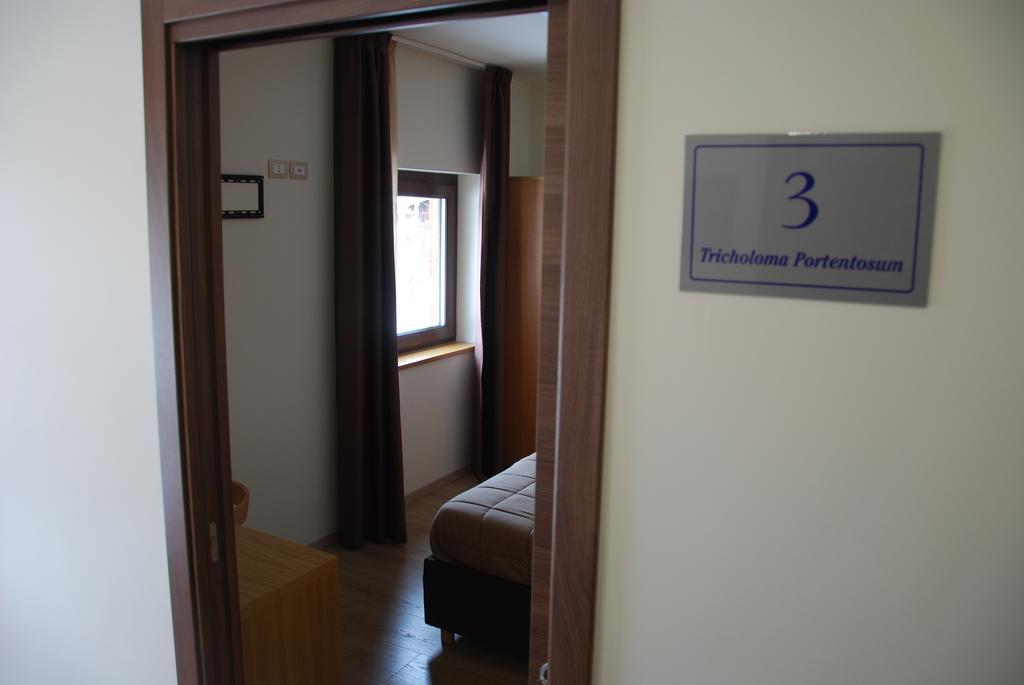Guest House Caracas ロリカ エクステリア 写真