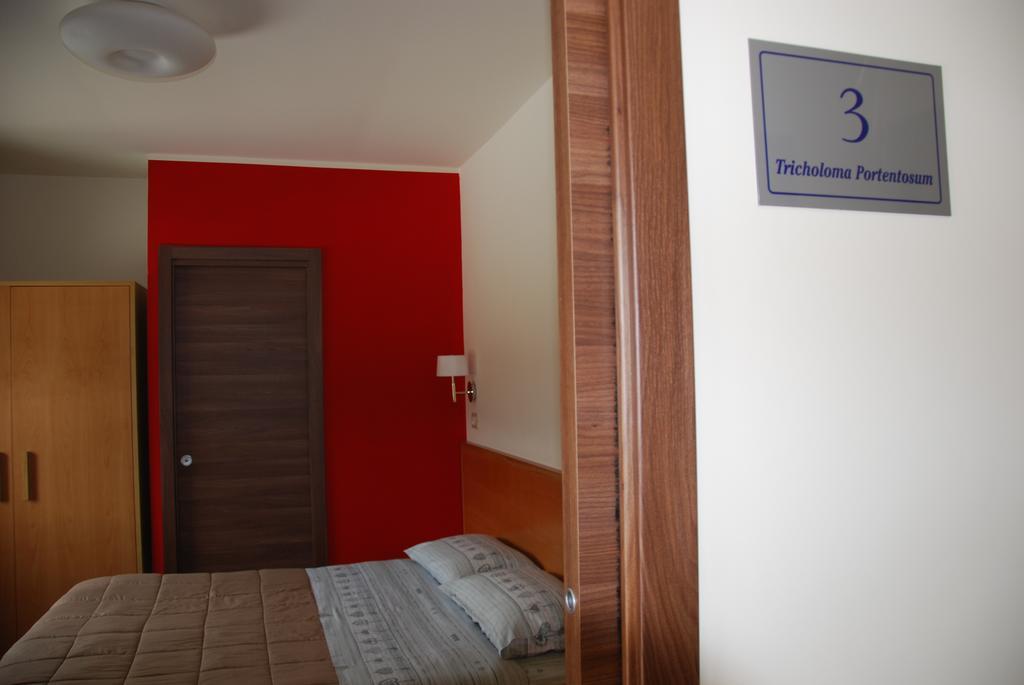Guest House Caracas ロリカ エクステリア 写真