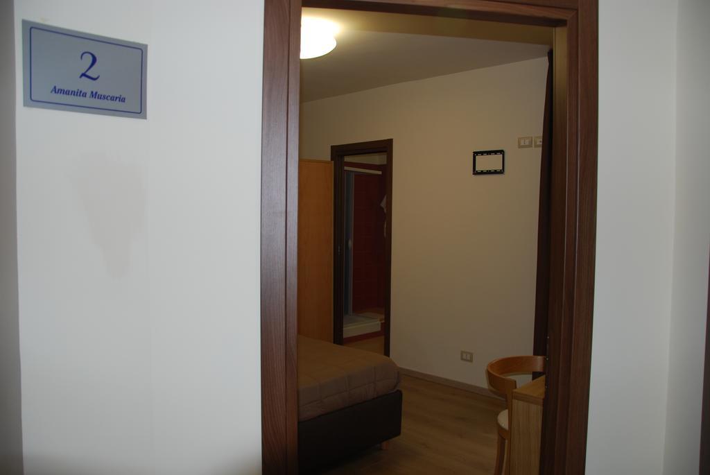 Guest House Caracas ロリカ エクステリア 写真